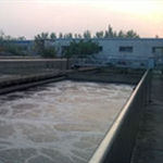 Z6�������й��ٷ���վ