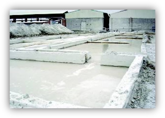 Z6×ðÁú¡¤Öйú¹Ù·½ÍøÕ¾