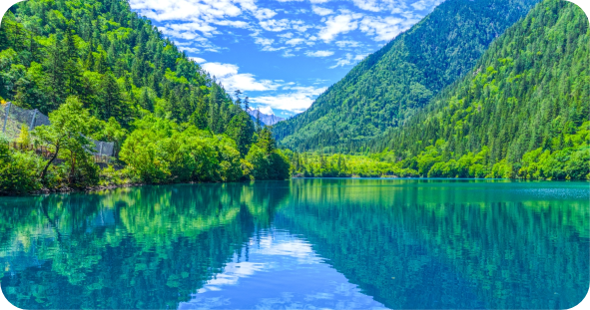 Z6�������й��ٷ���վ