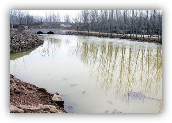 Z6×ðÁú¡¤Öйú¹Ù·½ÍøÕ¾