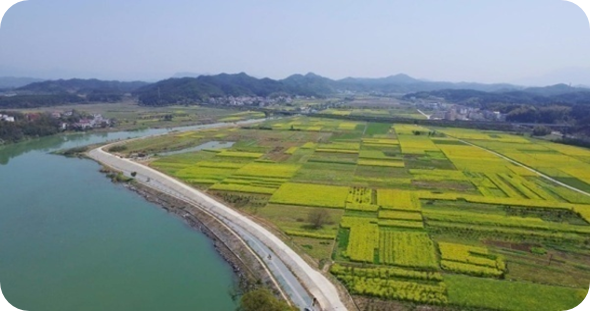 Z6�������й��ٷ���վ