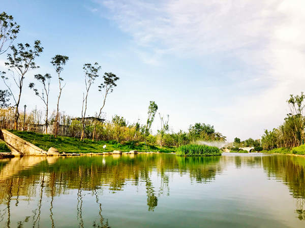 Z6�������й��ٷ���վ