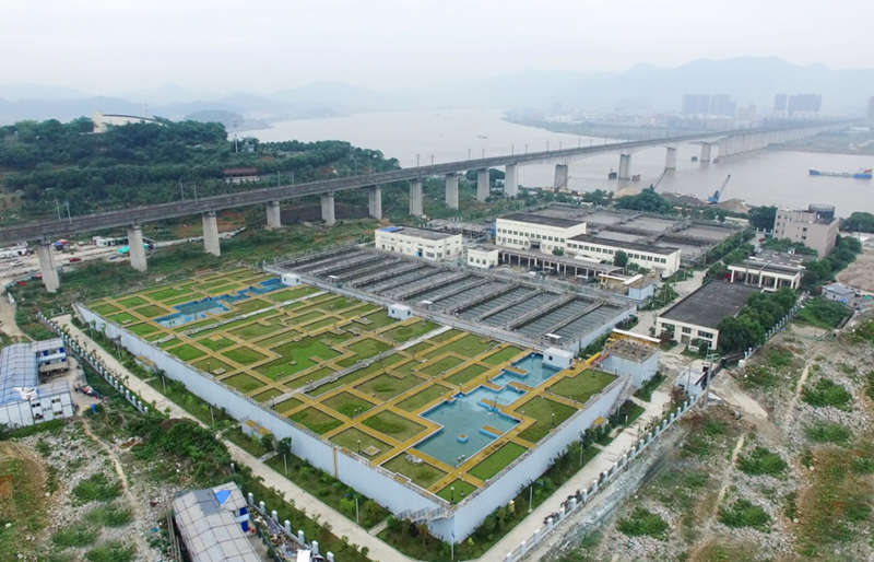 20200709-41.jpg 20200709-41.jpg