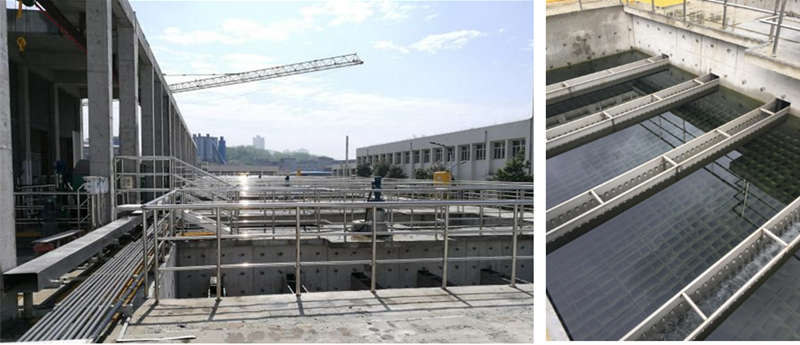 20200709-51.jpg 20200709-51.jpg