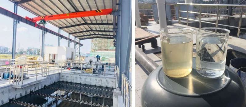 20200709-91.jpg 20200709-91.jpg