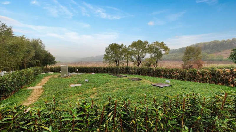 20200715-31.jpg 20200715-31.jpg