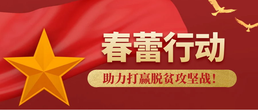 Z6�������й��ٷ���վ