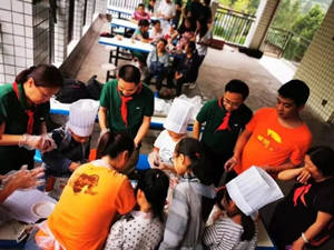 Z6�������й��ٷ���վ