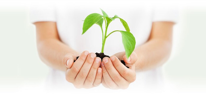 Z6�������й��ٷ���վ